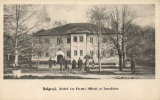 Belgrade Topcider, Milos castle