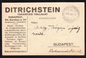 1920 A Karinthy Frigyes elmés szlogenje által hallhatatlanná tett Ditrichstein takarítási vállalat futott reklám levelezőlapja (Drámát Shakespeare, poloskát Dietrichstein irt legjobban.)