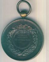 Belgium 1896. "Prijskamp Van Hoornvee Harelbeke-Leopold II" Br mezőgazdasági díjérem T:2 /...