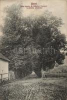 Zboró Száz hársfa (EK)