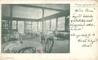 Vihnyefürdő restaurant interior (b)