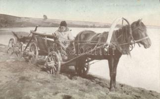 Russian-Poland folklore, peasant carriage