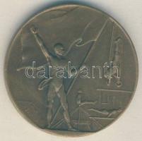 1930-31. "A Pesti Izraelita Hitközség Reálgimnáziuma" Br emlékérem. Szign.: Székely G. (38mm) T:1-