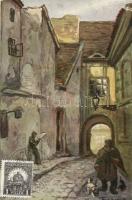 Budapest I. Baltaköz (kis szakadás / small tear)