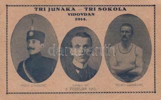 The three executed Bosnian convicts in the case of the Sarajevo assassination, Anarchist propaganda