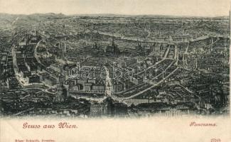Vienna panorama