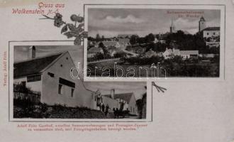 Walkenstein the restaurant of Adolf Fritz and the sanatorium of Dr. Welchy
