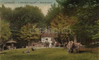 Szováta hermitage (wet damage)