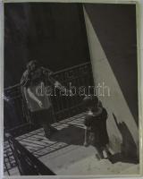 Truskovszky Dezső Lépcsőn c. nagyméretű fotója 30x40cm