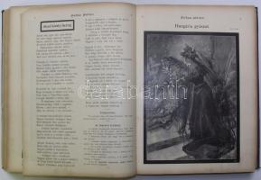 1905 Kakas Márton Sipulusz Lapja teljes évfolyam bekötve