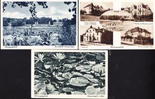 3 db jó minőségű, háború előtti Hévíz-gyógyfürdő képeslap