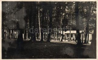 Farkasgyepű Dr. Vass József üdülőtelepe (Országos Gyermekvédő Liga)