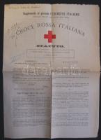 1884 Az olasz Vöröskereszt alapszabályai 4 oldal / Statutes of the Italian Red cross on 4 pages 29x42 cm