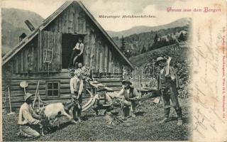 Mürzsteg alpine lumberjack life (fl)
