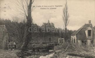Vallée d´Aure castle