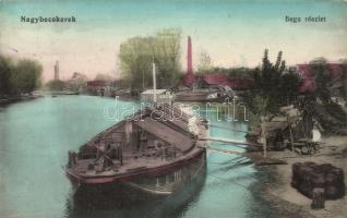 Nagybecskerek Bega riverside