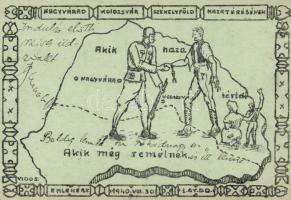 Második Bécsi döntés, Transylvanian territorial revision, irredenta