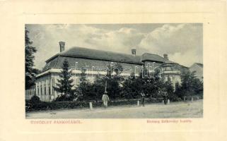 Pankota Sulkovsky castle