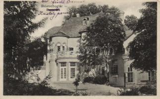 Balatonboglár Berta-lak, kastély