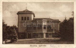 Révfülöp Gaál-villa (Rb)