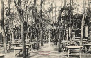 Debrecen Nagyerdei vigadó