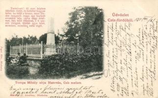 Csízfürdő, Hamva the tomb of Tompa