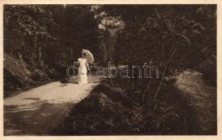 Tátra Fenyőháza park