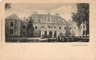 Kismagyar castle (EM)