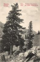 Yalta Outch-Kosch valley