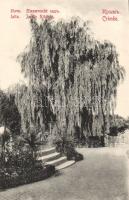 Yalta Nikitski garden