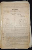 cca 1916-1920 Első világháborús irat hagyaték-tétel. Naplórészlet, igazolványok egyéb iratok, összes...