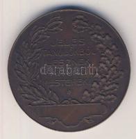 DN "Budapesti Kereskedelmi és Iparkamara kitüntető érem" Br (d=45mm) T:2