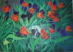 Ágoston Ildikó (1961): Pipacsok, olaj-vászon, jelzett 70x50 cm