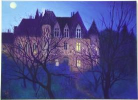 Ágoston Ildikó (1961): Vár teliholdban, olaj-vászon, jelzett 60x80 cm