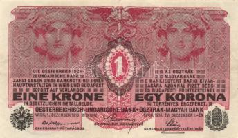 1913-1923. 20f (2x) + 50f + 1K (5x) különféle felülbélyegzésekkel + 2K (5x) 4klf típus + 10K (3x) ké...