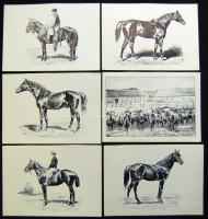 LOVAK - 44 db használatlan modern képeslap, lóverseny, festmény reprodukciók, lófajták