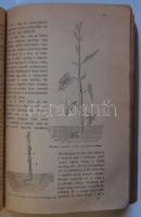 Útmutatás a szőlőmívelésre. - Különös tekintettel a filloxera által elpusztított szőlők előmozdításá...