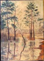 Fock A. jelzéssel: Lápi táj, olaj-vászon, 50x70 cm