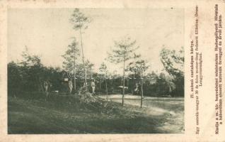 Military WWI Hungarian tank in Prussia (EB)