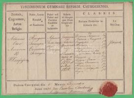 1838 Csurgó Református Gimnázium bizonyítványa Sarkadi Károly aláírásával