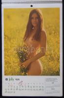 1974 Playboy falinaptár borító nélkül