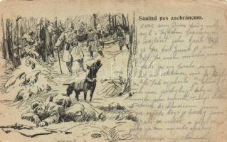 Military WWI a rescue dog seeking wounded soldiers