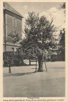 Nagykőrös Arany János eperfája