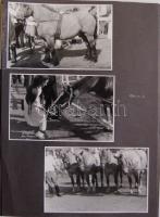 1954/1956  12 db klf fekete-fehér fotó vegyes témában