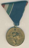 1954. Árvízvédelemért Érem mellszalaggal T:2