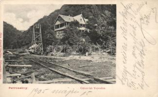 Petrozsény Gábor house by Vojvod