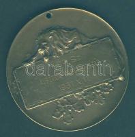 1931. "M.A.Sz. Ausztria-Magyarország" Br sportérem szign.:Huguenin T:2 ly