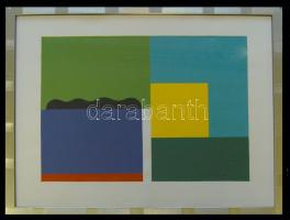 Dévényi János (1956): Fekvő formák, akril-papír, jelzett, keretben 40x50 cm