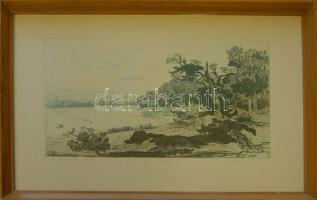Tuka László: Dunakanyar, rézkarc-papír, jelzett, zsűrizett, keretben 40x60 cm