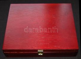 6 személyes sajtvilla készlet 2 késsel bélelt fadobozban